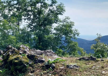 Devín - Plavecký Mik...